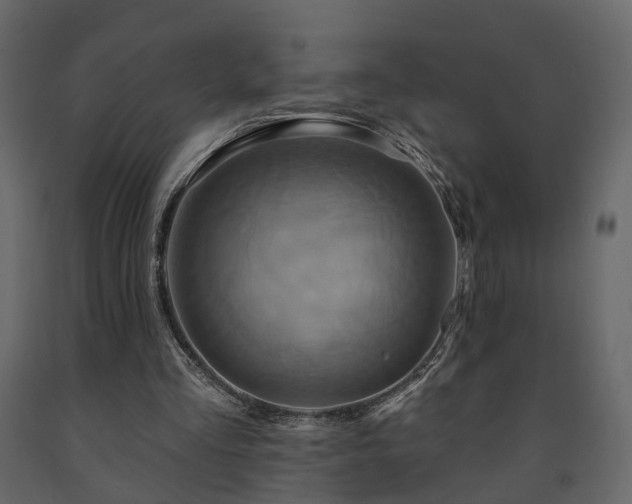 X0000091640293200708231205