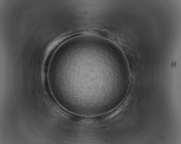 X0000091640294200708231205