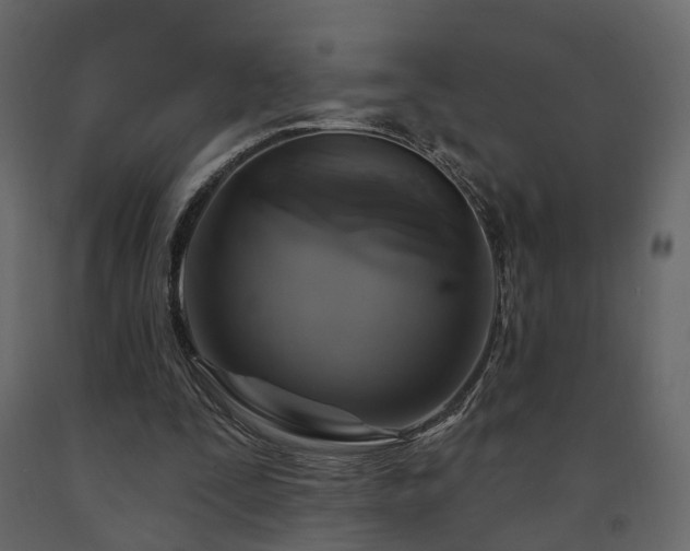 X0000091640295200708231205