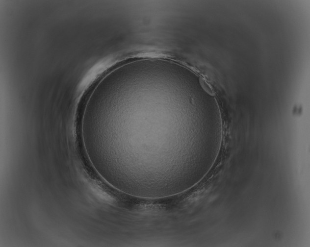 X0000091640296200708231205
