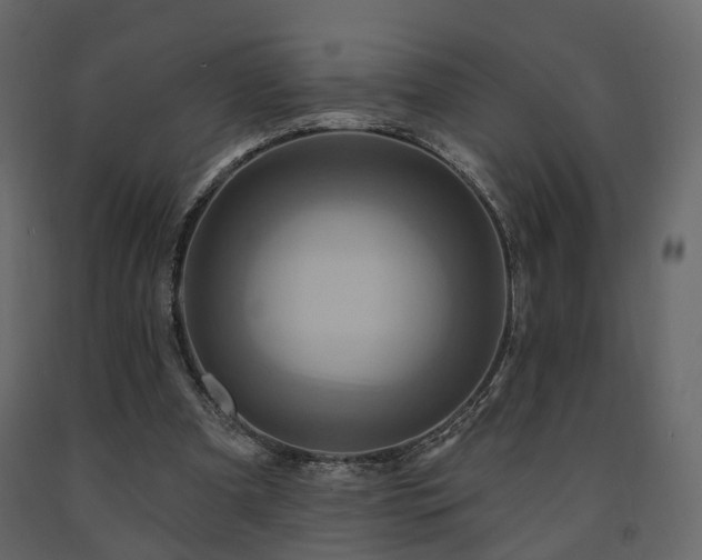 X0000091640297200708231205