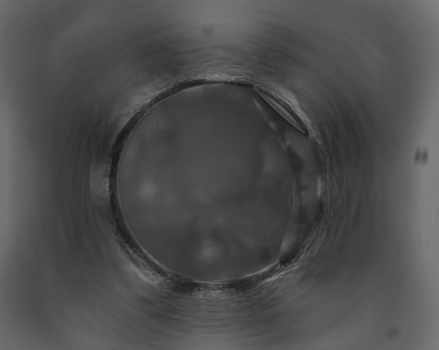 X0000091640299200708231204