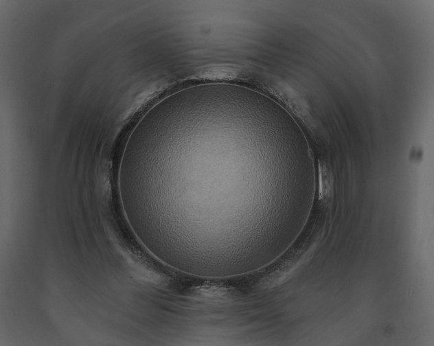 X0000091640300200708231204