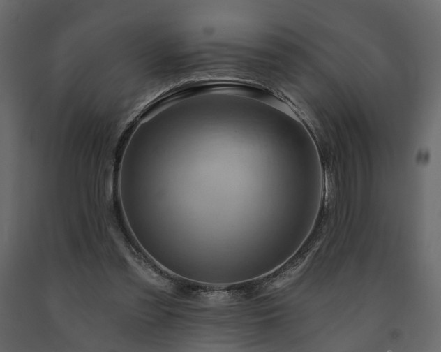 X0000091640301200708231204