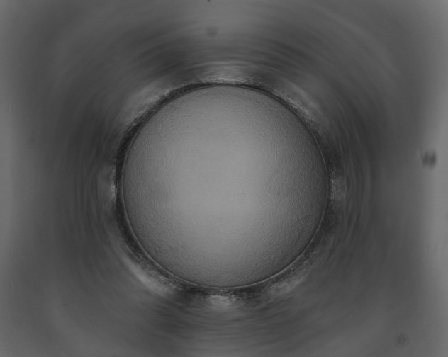 X0000091640302200708231204