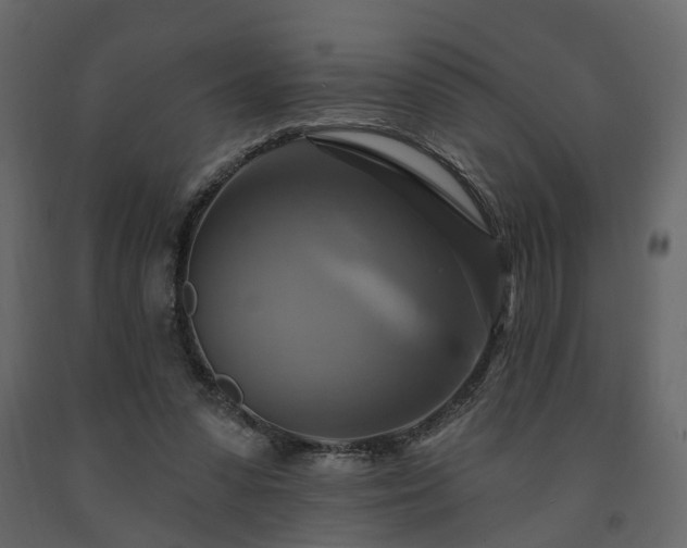 X0000091640303200708231204