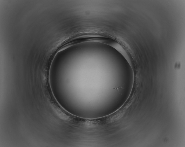X0000091640305200708231204