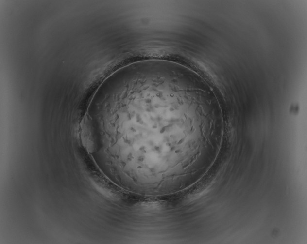 X0000091640307200708231204