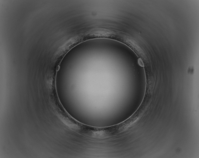 X0000091640309200708231204