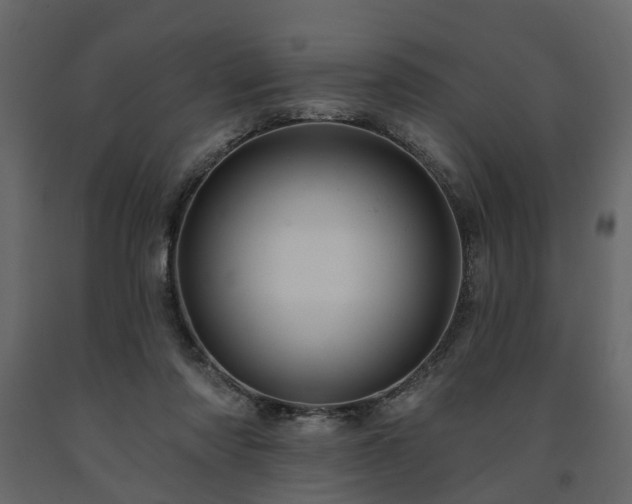 X0000091640310200708231204