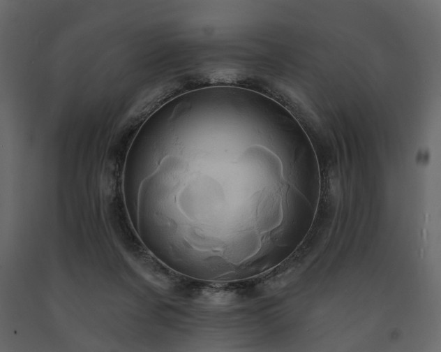 X0000091640311200708231204