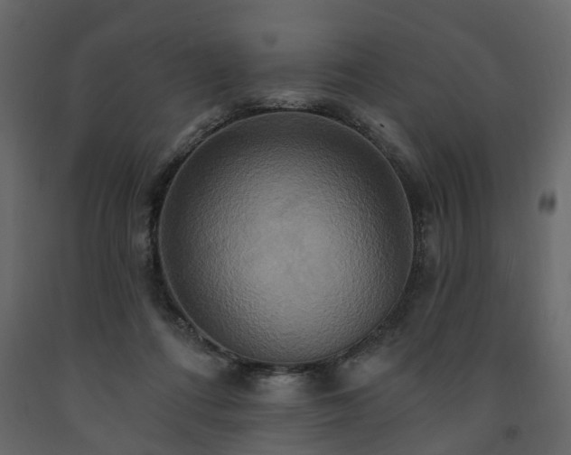 X0000091640312200708231204