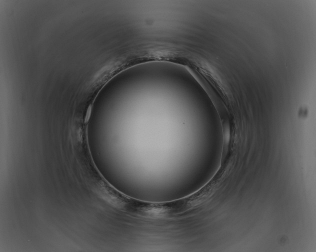 X0000091640313200708231204