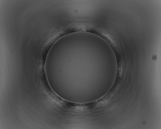 X0000091640314200708231204