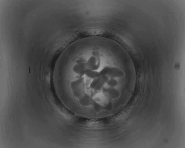 X0000091640315200708231204