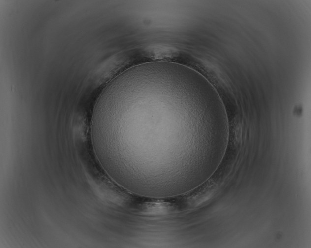 X0000091640316200708231204