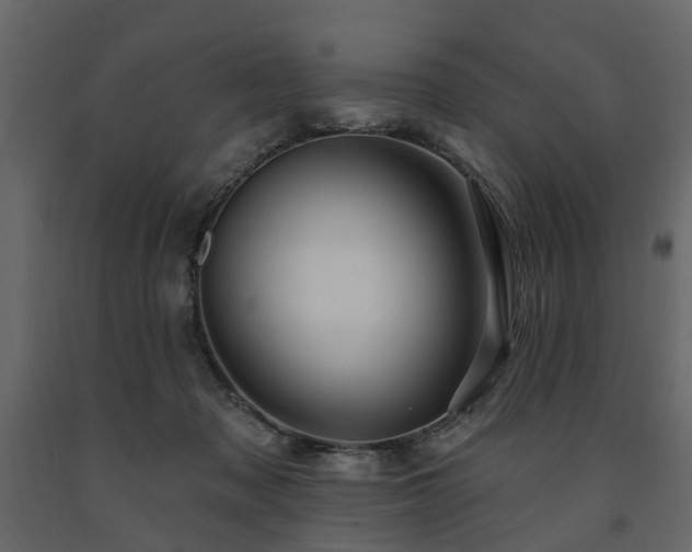 X0000091640317200708231204