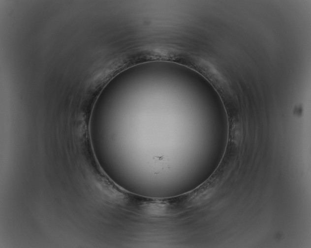 X0000091640318200708231204