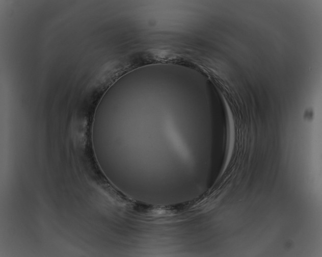 X0000091640319200708231204