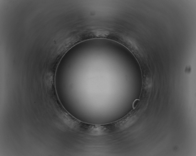 X0000091640321200708231204