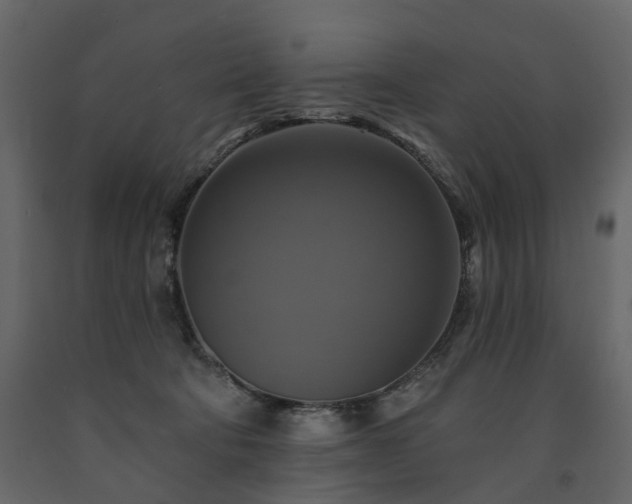X0000091640322200708231204