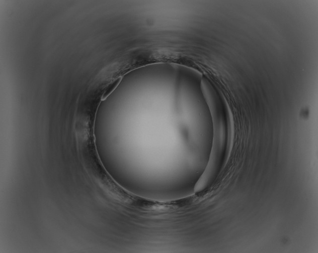 X0000091640323200708231204