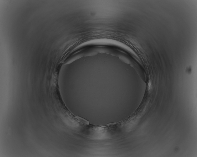 X0000091640325200708231204