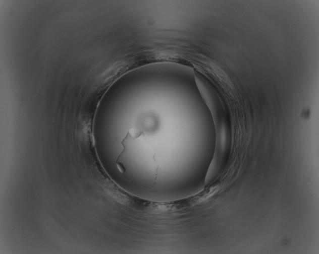 X0000091640329200708231204