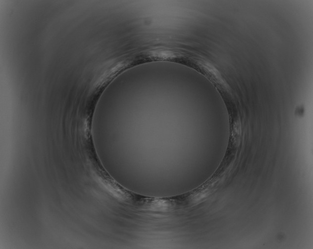 X0000091640330200708231204