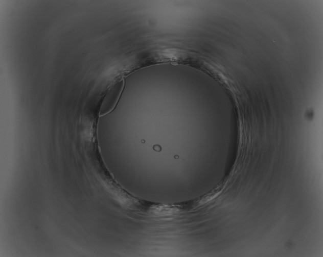 X0000091640331200708231204