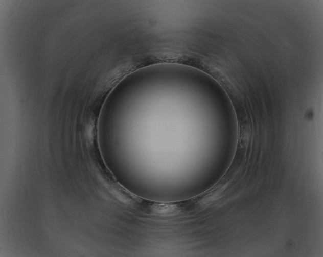 X0000091640334200708231204