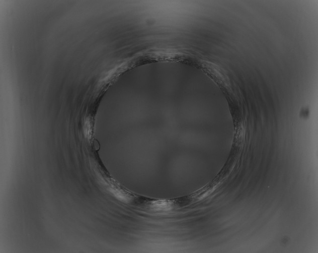X0000091640335200708231204