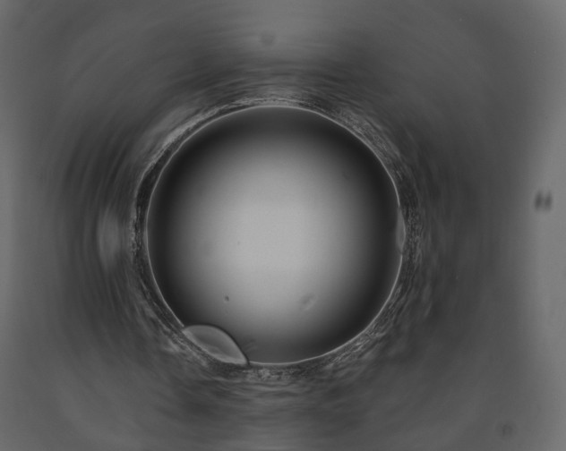 X0000091640338200708231203