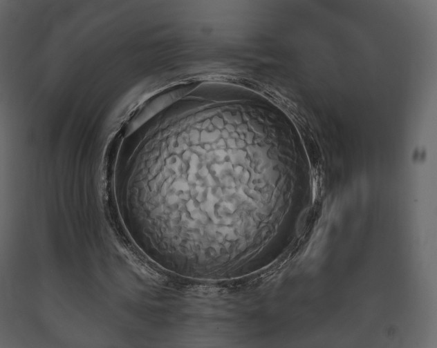 X0000091640339200708231203