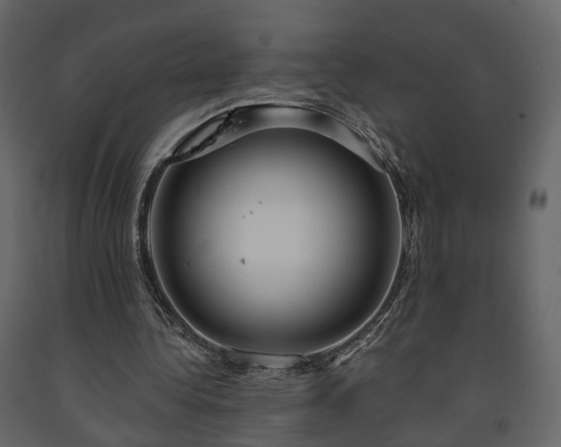 X0000091640340200708231203