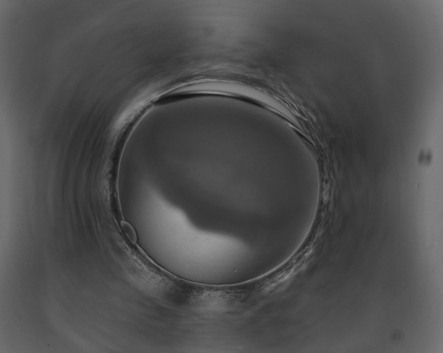 X0000091640341200708231203