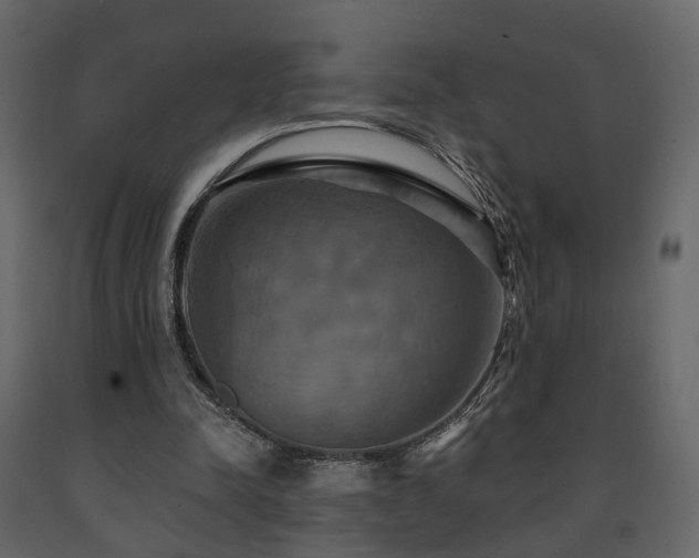X0000091640342200708231203
