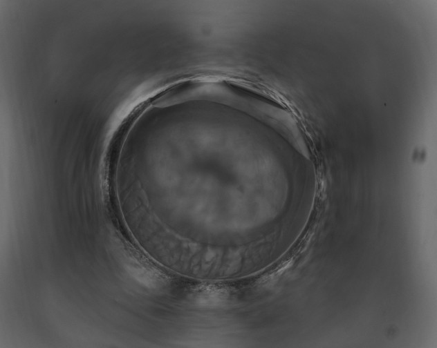 X0000091640343200708231203
