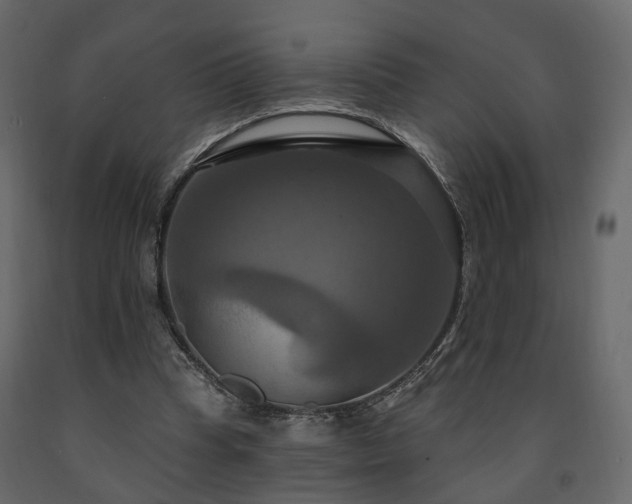 X0000091640345200708231203