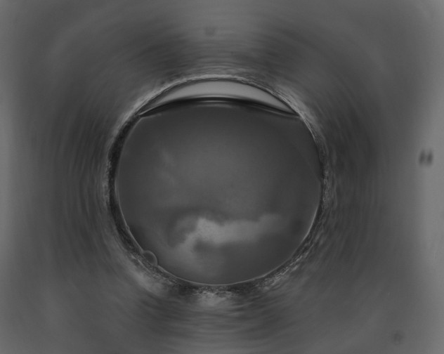 X0000091640346200708231203