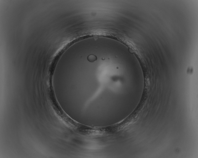 X0000091640347200708231203