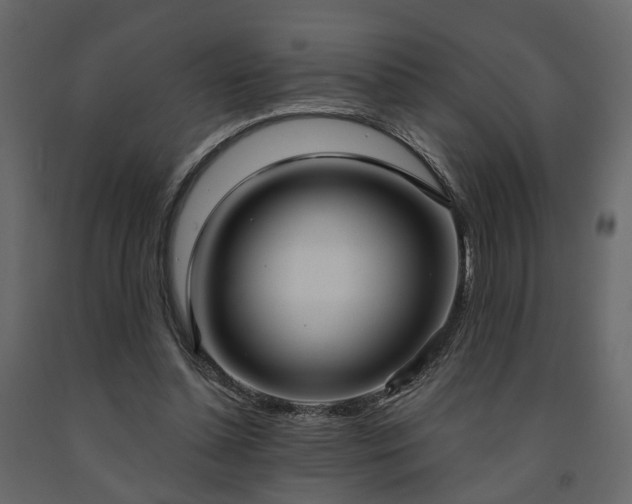 X0000091640348200708231203