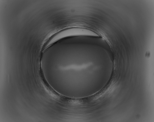 X0000091640349200708231203