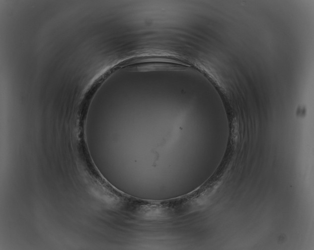 X0000091640351200708231204