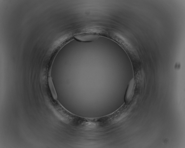 X0000091640352200708231204