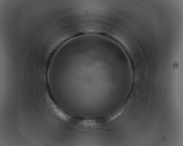 X0000091640353200708231204