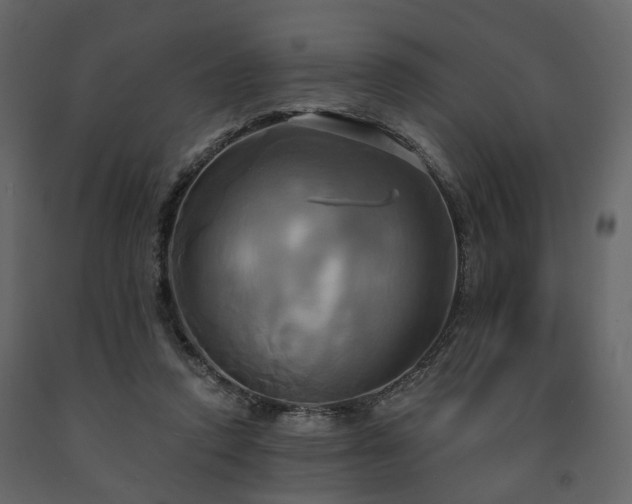 X0000091640354200708231204