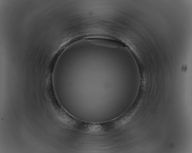 X0000091640355200708231204