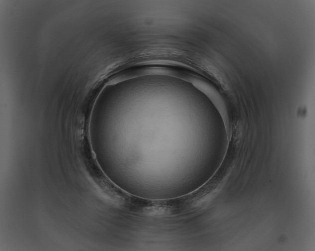 X0000091640356200708231204