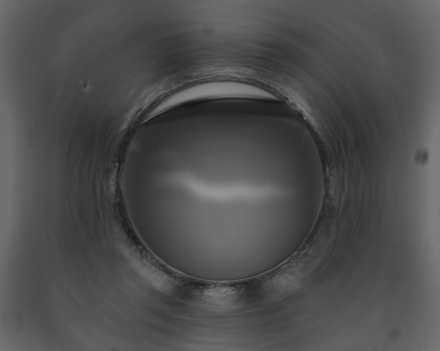 X0000091640357200708231204